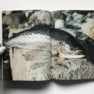 Lyst fiskerens billed leksikon (Ferskvands fisk), Knud Larsen, Arnold Bacmeister