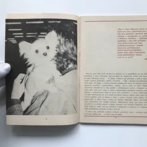 Se psem po evropských výstavách, Ivan Stuchlý