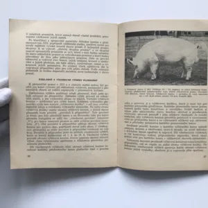 Základy plemenářské práce v chovu prasat, František Šafránek