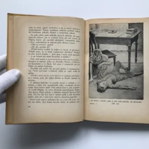 Danuška a veselý čtyřlístek, Ethel Turnerová, Jiří Wowk