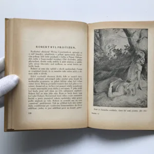 Danuška a veselý čtyřlístek, Ethel Turnerová, Jiří Wowk