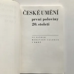 České umění první poloviny 20. století ze sbírek Moravské galerie v Brně, Jiří Hlušička