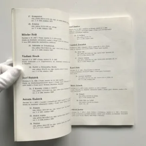 České umění první poloviny 20. století ze sbírek Moravské galerie v Brně, Jiří Hlušička