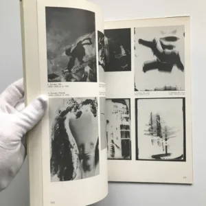 Linie, barva, tvar v českém výtvarném umění 30. let, Hana Rousová, Antonín Dufek