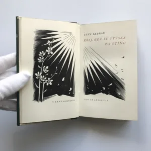 Kraj, kde se stýská po stínu, Jean Lebrau