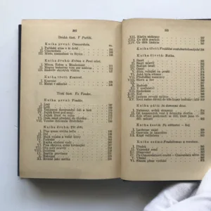 Devadesát tři, Victor Hugo