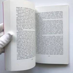 Než se setmí, Reinaldo Arenas