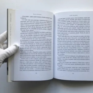 Květ pouště (Podivuhodné putování somálské kočovnice), Waris Dirieová, Cathleen Millerová