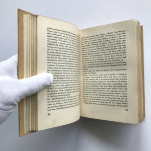 Unterwelt der Politik, H. R. Berndorff