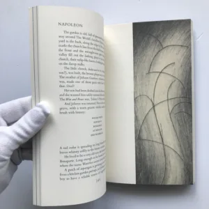 Spillville, Patricia Hampl, Steven Sorman