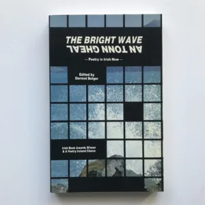 The Bright Wave / An Tonn Ghael (Poetry in Irish Now), Dermot Bolger, Michael Davitt, Caitlin Maude, Nuala Ni Dhomhnaill, Michael O hAirtneide, Liam O Muirthile, Cathal O Searcaigh