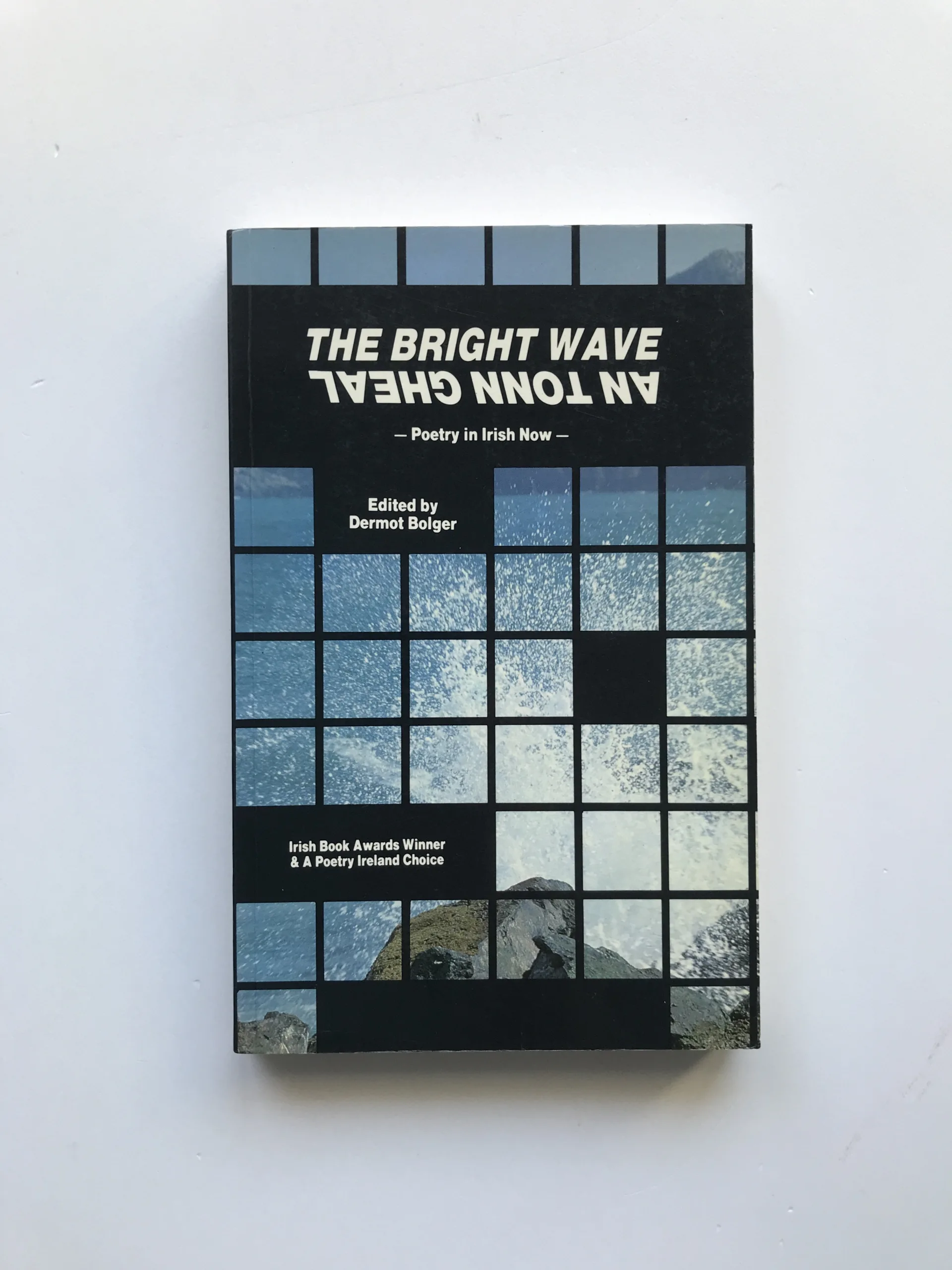 The Bright Wave / An Tonn Ghael (Poetry in Irish Now), Dermot Bolger, Michael Davitt, Caitlin Maude, Nuala Ni Dhomhnaill, Michael O hAirtneide, Liam O Muirthile, Cathal O Searcaigh