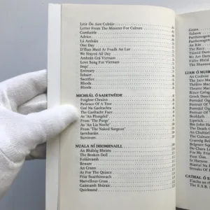 The Bright Wave / An Tonn Ghael (Poetry in Irish Now), Dermot Bolger, Michael Davitt, Caitlin Maude, Nuala Ni Dhomhnaill, Michael O hAirtneide, Liam O Muirthile, Cathal O Searcaigh