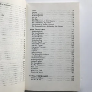 The Bright Wave / An Tonn Ghael (Poetry in Irish Now), Dermot Bolger, Michael Davitt, Caitlin Maude, Nuala Ni Dhomhnaill, Michael O hAirtneide, Liam O Muirthile, Cathal O Searcaigh