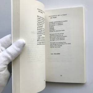 The Bright Wave / An Tonn Ghael (Poetry in Irish Now), Dermot Bolger, Michael Davitt, Caitlin Maude, Nuala Ni Dhomhnaill, Michael O hAirtneide, Liam O Muirthile, Cathal O Searcaigh