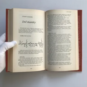 Tibetská kniha o životě a smrti, Sogjal Rinpočhe