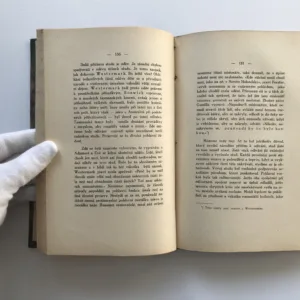 Bludy v lásce (Studie k sexuální psychologii), Hans Rau