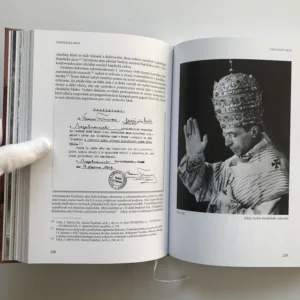 Uzavírám vás do svého srdce (Životopis Josefa Kardinála Berana), Stanislava Vodičková