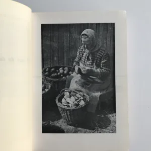 Rok v naší kuchyni, Marie Úlehlová-Tilschová