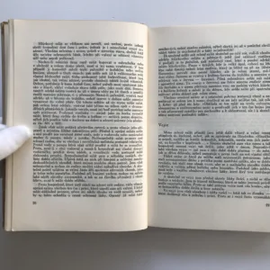 Rok v naší kuchyni, Marie Úlehlová-Tilschová