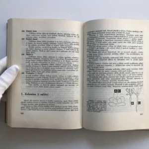 Rok v naší kuchyni, Marie Úlehlová-Tilschová