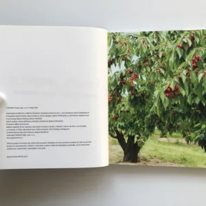 Ubrousku, prostři se! aneb 112 jídel, která milujeme, Kateřina Švejdová, Stanislava Moravcová, Jana Zbyňková, Marie Holobrádková