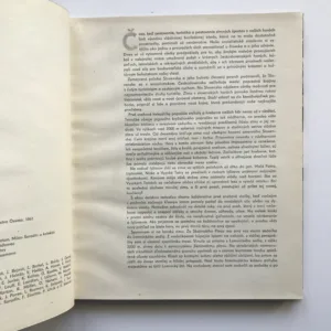 Zima v slovenských horách, Eugen Lazišťan