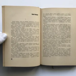 Fronta, Larisa Reisnerová