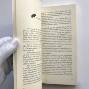 Nebezpečné léto, Ernest Hemingway