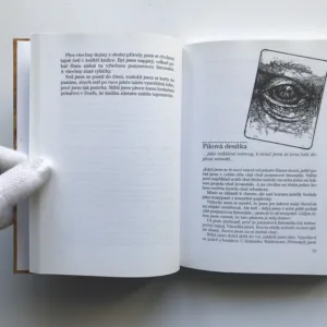 Tajemství karet, Jostein Gaarder