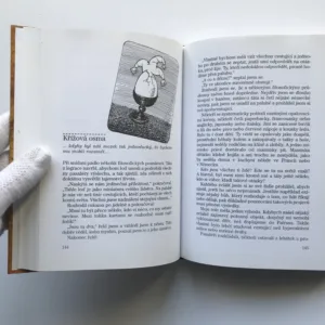 Tajemství karet, Jostein Gaarder