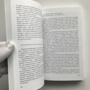 Spirituální inteligence, Danah Zohar, Ian Marshall