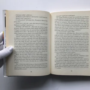 Bohatý táta, chudý táta (Co bohatí učí svoje děti a chudí a střední vrstvy ne) , Robert T. Kiyosaki, Sharon L. Lechter