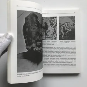 Šílenství v zrcadle dějin, Michal Černoušek