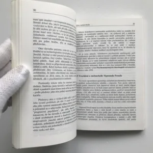 Šílenství v zrcadle dějin, Michal Černoušek