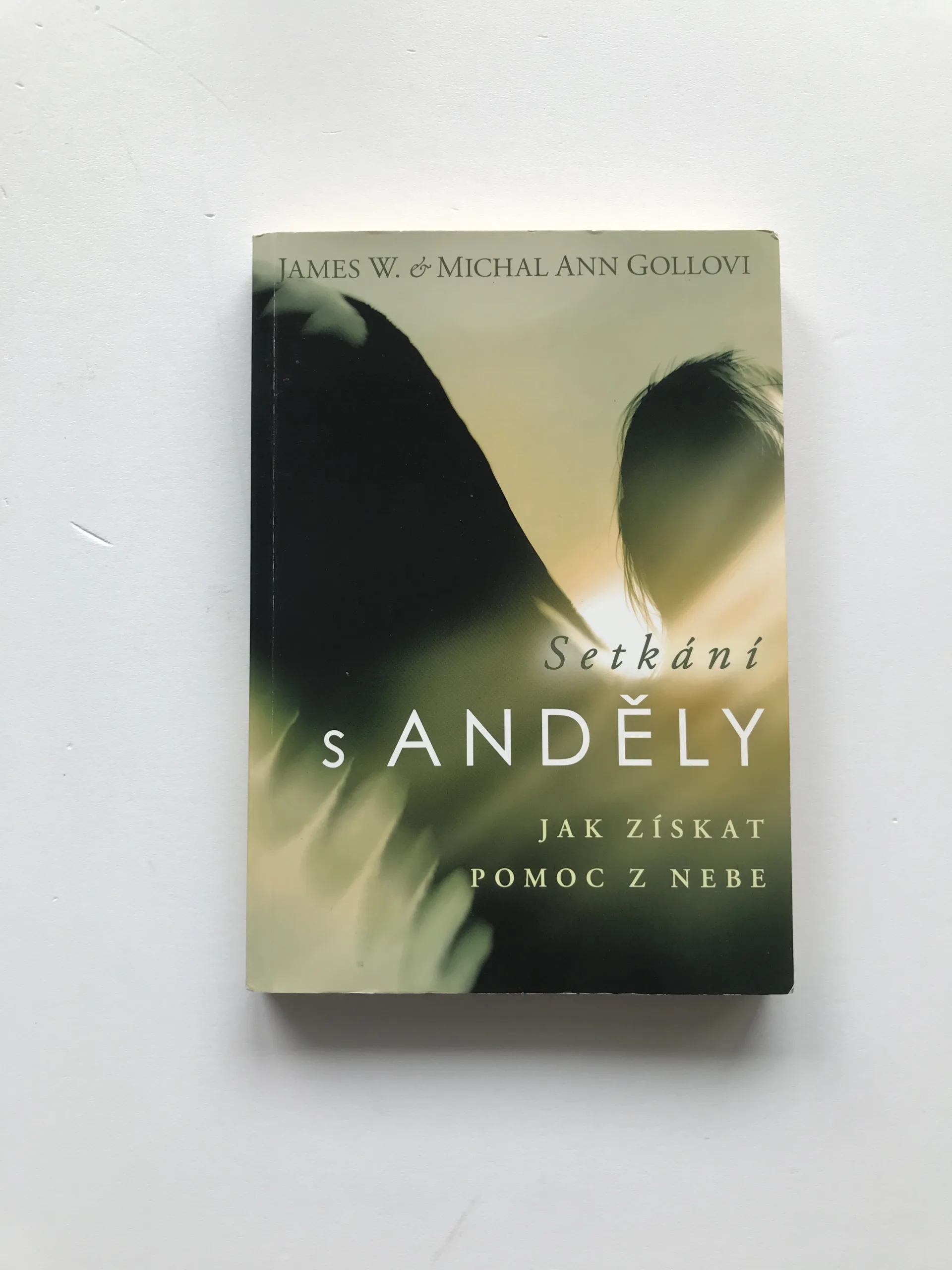 Setkání s anděly (Jak získat pomoc z nebe), Jim W. Goll, Michal Ann Gollová