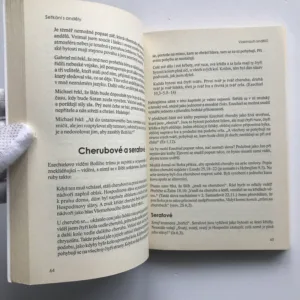 Setkání s anděly (Jak získat pomoc z nebe), Jim W. Goll, Michal Ann Gollová