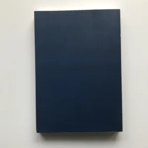 Svatá Anežka Česká – Princezna a řeholnice, kolektiv autorů