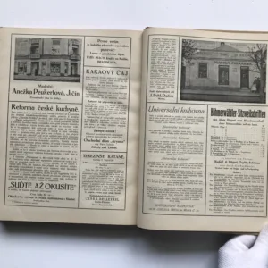 Duchovné prúdy v našej republike 1918-1930 (II. dielo – Prúdy cirkevné), Josefina Marečková