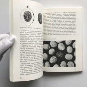 Vůně koření, Zdeněk Žáček