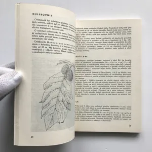 Plody dalekých krajů, Zdeněk Žáček