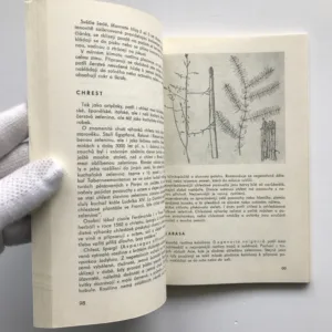 Plody dalekých krajů, Zdeněk Žáček