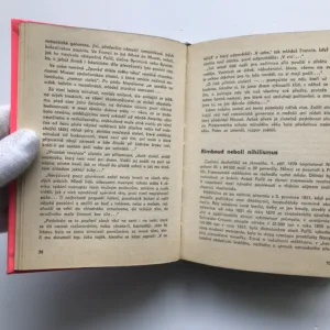 Problémy mladé generace (Bezmocnost nebo odpovědnost?), Ernst Fischer