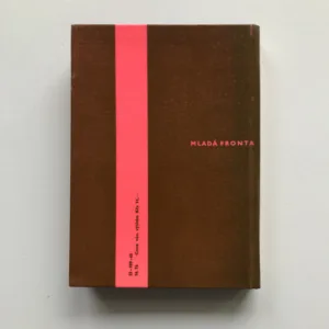 Problémy mladé generace (Bezmocnost nebo odpovědnost?), Ernst Fischer