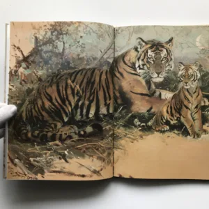 Příběhy tygřího mláděte, Dán Ghópál Mukerdží, Zdeněk Burian