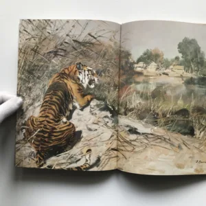 Příběhy tygřího mláděte, Dán Ghópál Mukerdží, Zdeněk Burian