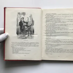 Pět neděl v balóně, Jules Verne