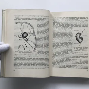 Speciální neurologie, Kamil Henner, Zdeněk Macek, Jiří Vítek