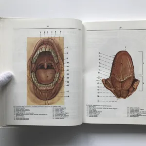 Anatomie 2, Radomír Čihák, Milan Med