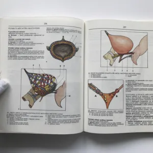 Anatomie 2, Radomír Čihák, Milan Med